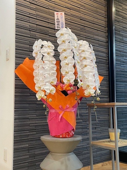 お祝い頂きました